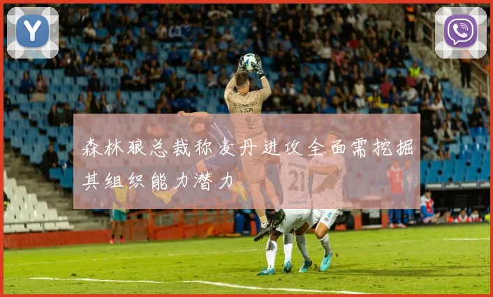 森林狼总裁称麦丹进攻全面需挖掘其组织能力潜力
